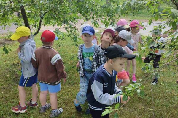 Увлекательная прогулка по экологической тропе