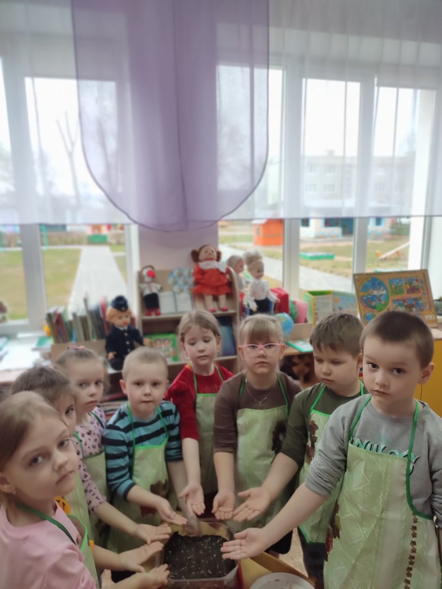 Цветик-семицветик