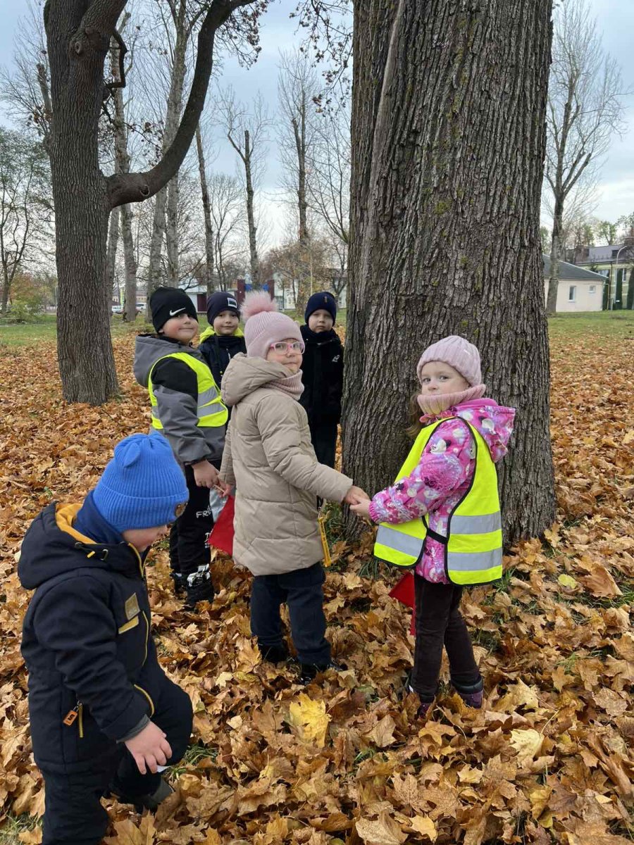 Экскурсия в осенний парк.
